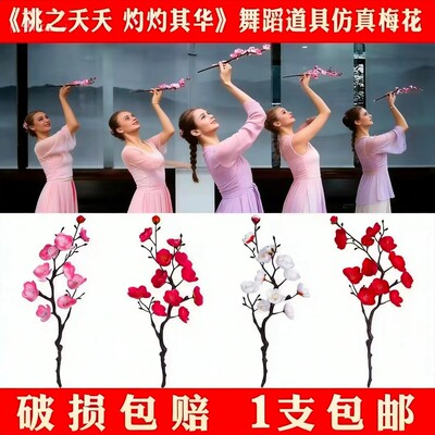 古典舞逃之夭夭灼灼其华
