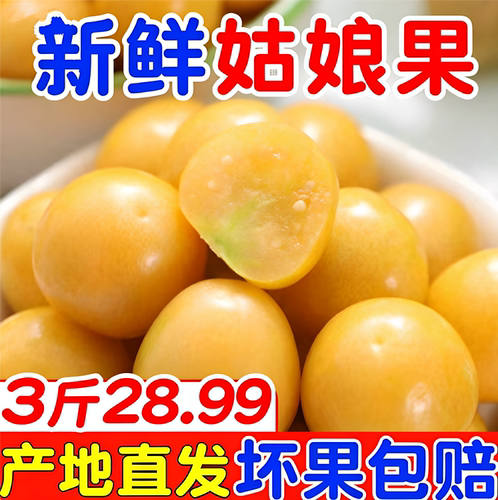 东北菇娘果新鲜果实饱满脆甜多汁