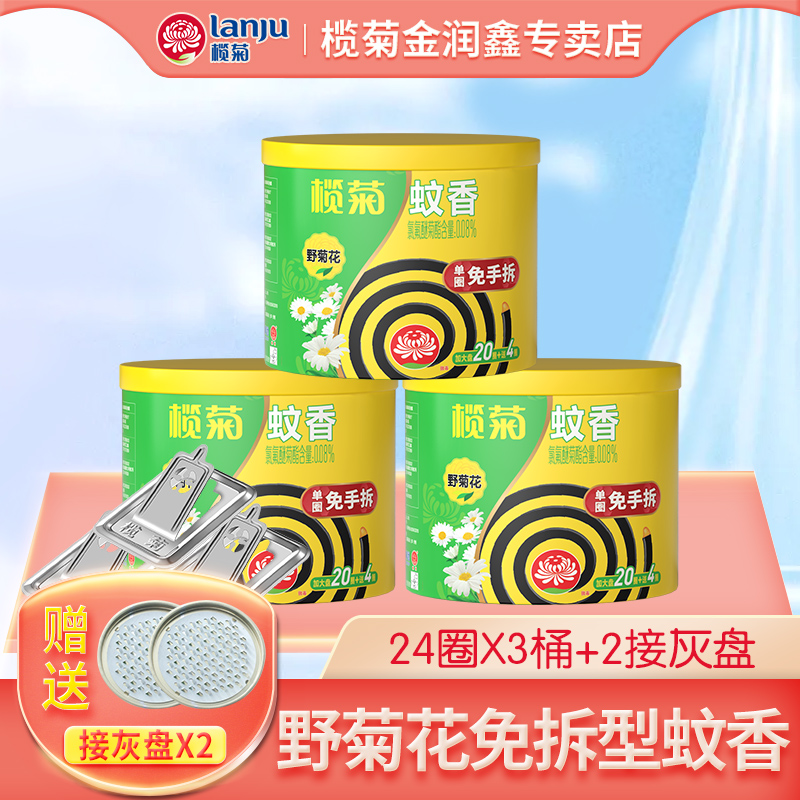 免拆24圈野菊花型榄菊正品