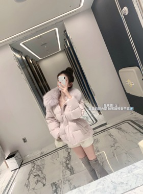 POET WONG【雪布蕾】Y*ves世家 美国杜邦三防面料狐狸毛领羽绒服