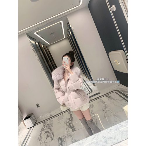 POET WONG【雪布蕾】Y*ves世家 美国杜邦三防面料狐狸毛领羽绒服