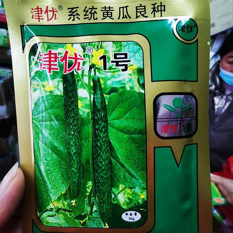 天津科润研究院津优黄瓜种子大全津优1号5号401黄瓜种大田春秋播
