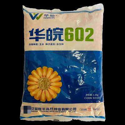 隆平高科华皖602大田饲料玉米种子国审白轴半马齿黄籽春秋播玉米