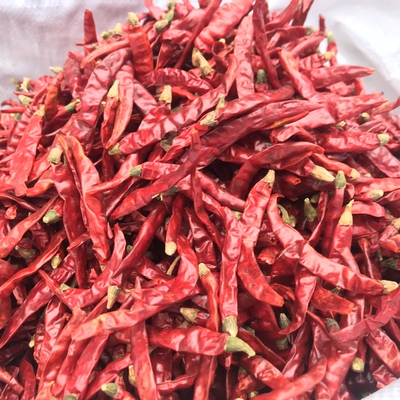 变态魔鬼辣纯干印度椒S17新货5斤包邮火锅烧烤加辣用免费切段打粉