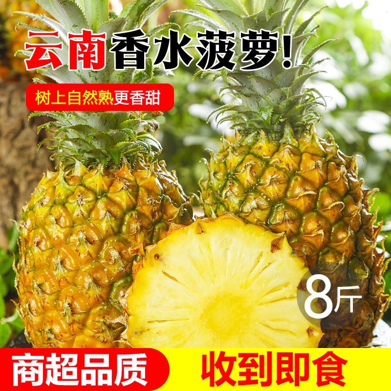 云南香水菠萝10斤新鲜水果应当凤梨