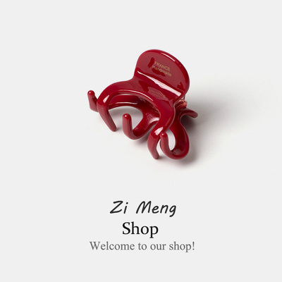 抓夹小号发量少发夹半扎发高级感