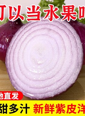 现发现挖25年新水果洋葱新鲜蔬菜当季紫红皮圆葱葱头可生吃洋葱头