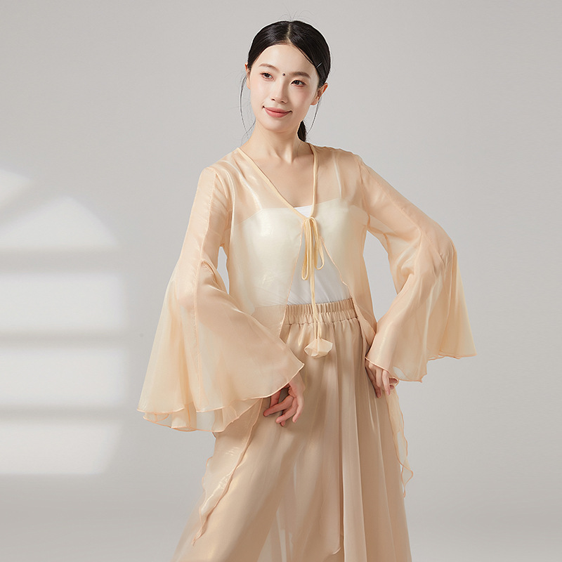 共妍古典舞纱衣两穿飘逸女中国舞