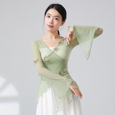 共妍古典舞蝴蝶身韵纱衣舞蹈服
