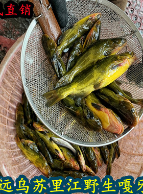 嘎牙子鱼东北天然新鲜淡水鱼
