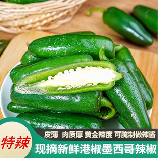 现摘墨西哥辣椒新鲜港椒特辣农家自种超辣东北港椒鲜辣椒jalapeno
