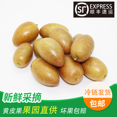 现摘广东新鲜黄皮果孕妇水果酸甜鸡心黄皮黄弹子整箱顺丰空运包邮