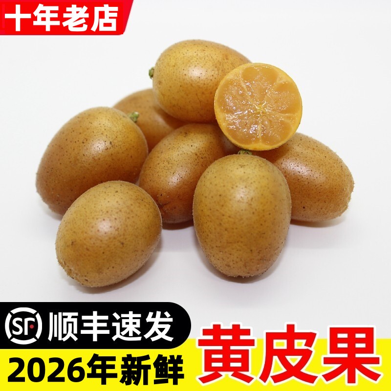现摘水果广东郁南新鲜黄皮果无核鸡心冰糖黄弹子当季酸甜顺丰包邮