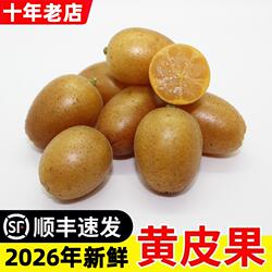 现摘水果广东郁南新鲜黄皮果无核鸡心冰糖黄弹子当季酸甜顺丰包邮