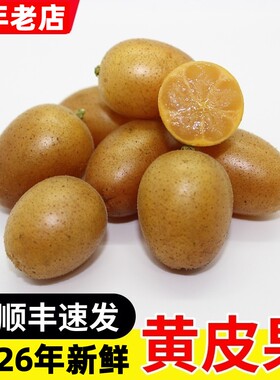 现摘水果广东郁南新鲜黄皮果无核鸡心冰糖黄弹子当季酸甜顺丰包邮
