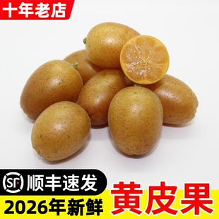 现摘水果广东郁南新鲜黄皮果无核鸡心冰糖黄弹子当季酸甜顺丰包邮