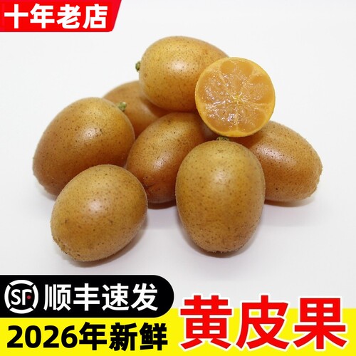 现摘水果广东郁南新鲜黄皮果无核鸡心冰糖黄弹子当季酸甜顺丰包邮