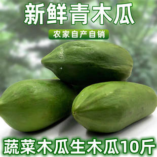 广西青木瓜新鲜现摘产妇下奶菜瓜沙拉凉拌煲汤土木瓜腌酸用生木瓜