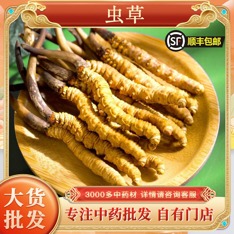 冬虫夏草虫草干货藏区虫草无断条冬虫夏草西藏挑选虫草代发