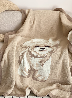 秋冬半边绒萌宠针织卧室沙发毛毯卡通风色织提花午睡休闲毯子白色