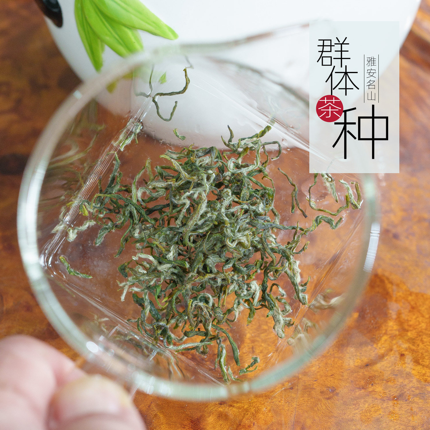 【群体种】素毛峰2026新款茶叶蒙顶山高山绿茶散装自己喝蒙顶山茶