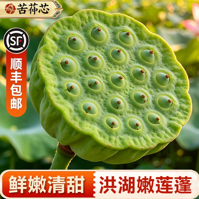 洪湖现摘新鲜莲蓬嫩莲子米