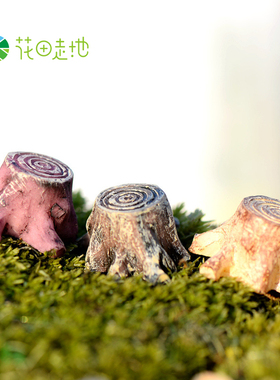 多肉拼盘苔藓微景观生态瓶特价