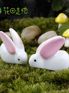 diy兔子苔藓微景观玩具装饰摆件