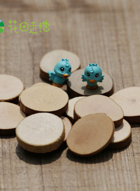 diy苔藓微景观圆木片拍摄摆件