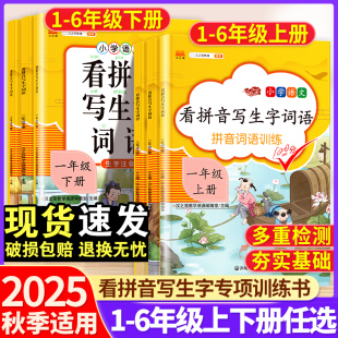 看拼音写生字词语一年级二年级三四五六年级上册人教版 拼读训练小学语文阅读理解专项训练书小学生注音描红本同步练习册每日一练