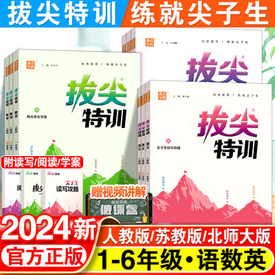 2024新版小学拔尖特训