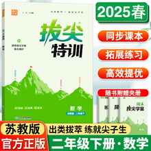 小学拔尖特训二年级下册数学苏教版 专项训练小题狂做学霸笔记必刷题小学2年级同步实验班提优训练教辅练习资料