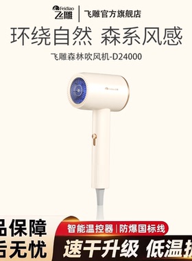 飞雕吹风机负离子护发静音