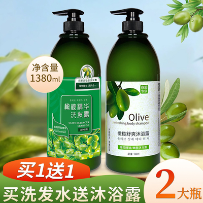 美宝蕾丝橄榄洗发水酒店发廊批发