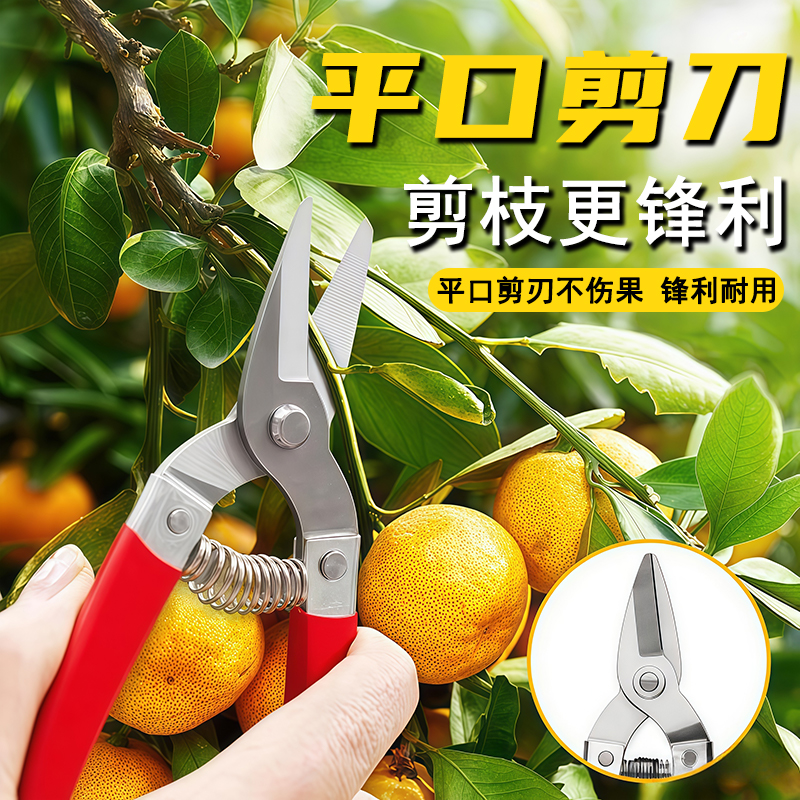 三喜树不锈钢修剪树枝剪刀修枝剪果树摘果剪水果专用剪刀摘果神器
