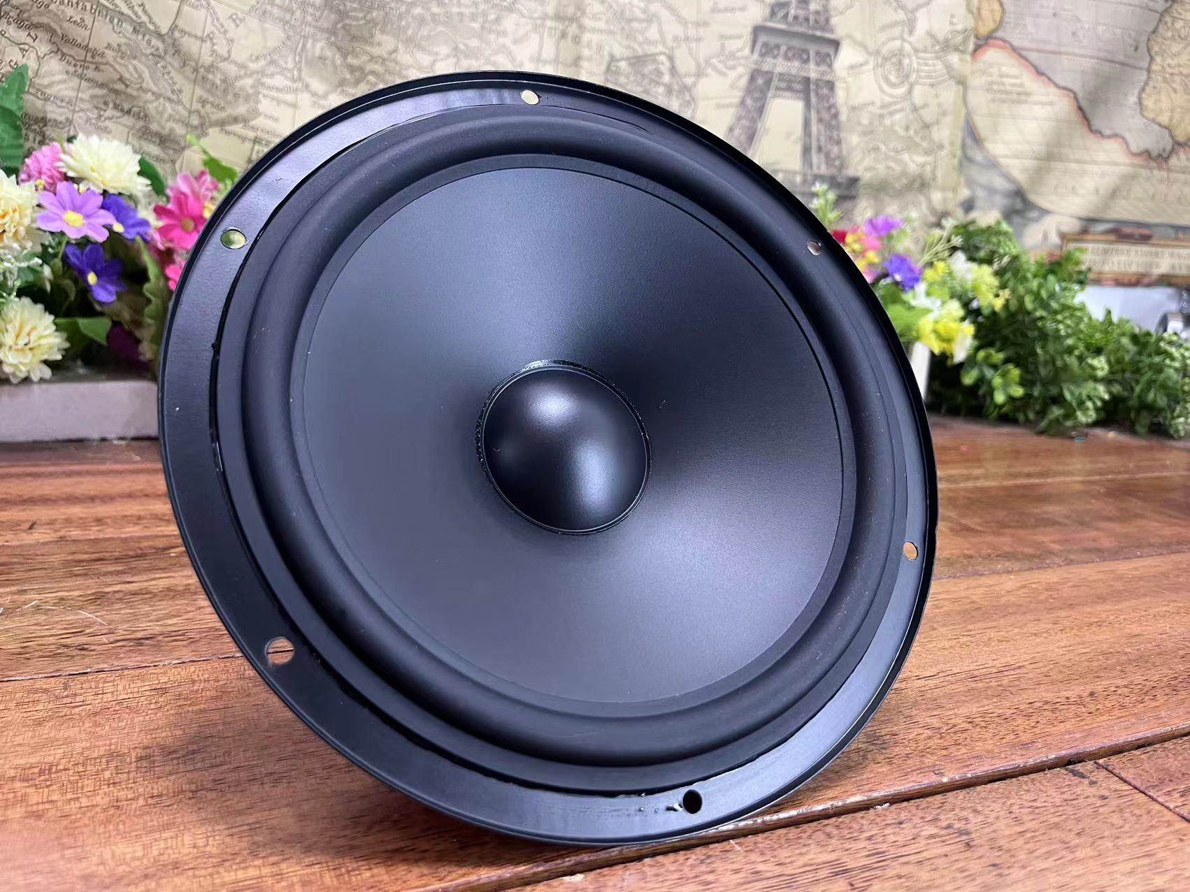 国光大功率中低音喇叭书架音响喇叭8寸大口径扬声器橡皮边4欧100W