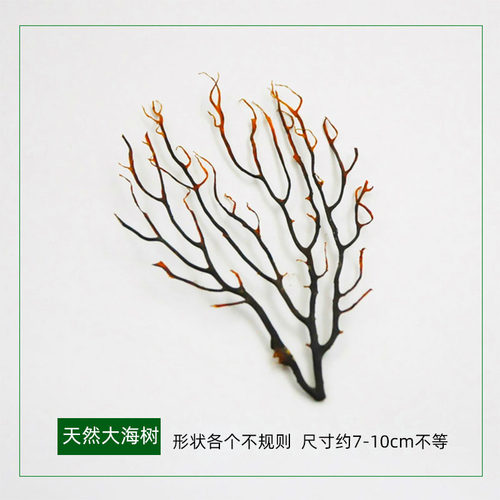 生态鱼缸仿真珊瑚塑料水草海树