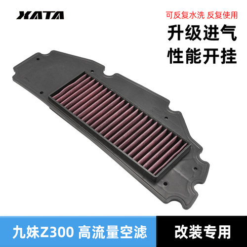 适用三阳巡弋CRUiSYM空滤JOYMAX九妹Z300改装XS300T GTS滤芯RV250
