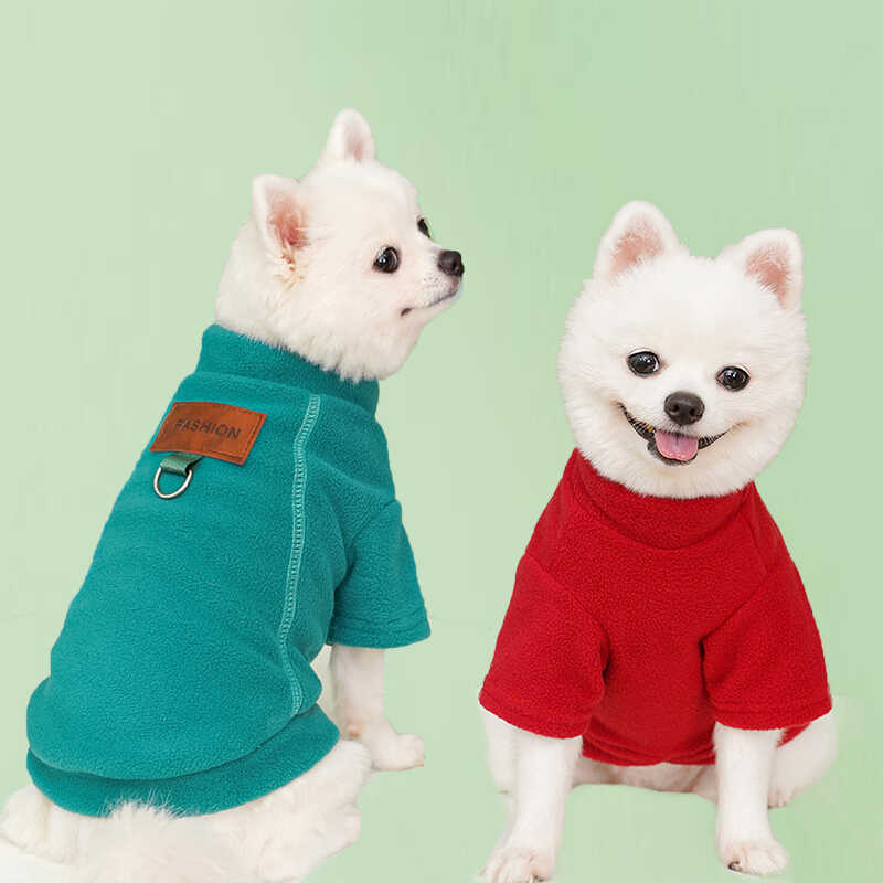 小型犬宠物泰迪比熊博美两脚衣