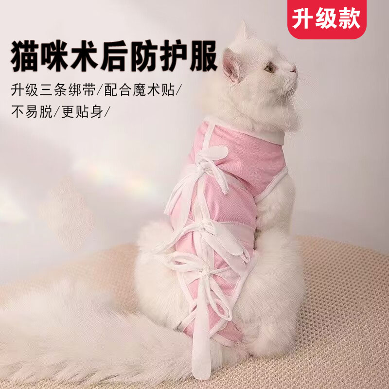 猫咪绝育服母猫手术服透气舒适