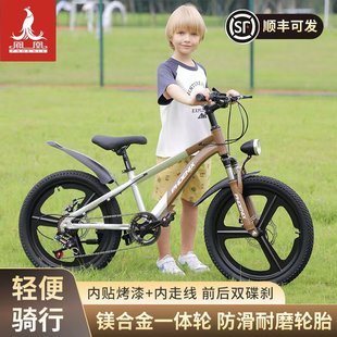 凤凰儿童自行车5 12岁小孩男女中大童20寸带后座变速山地脚踏单车