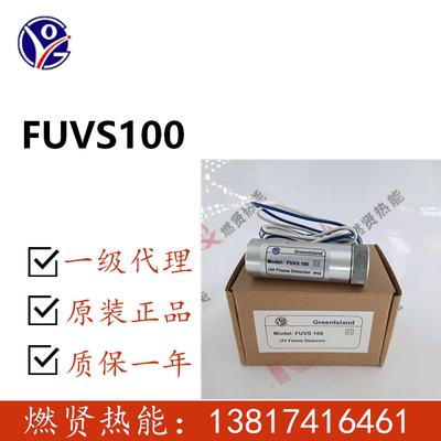 火检电眼火焰探测器FUVS110