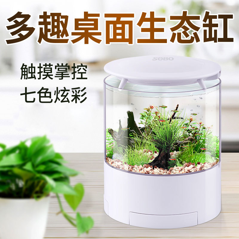 小型桌面鱼缸迷你生态水族箱客厅办公免换水自循环玻璃创意金鱼缸