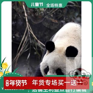 夏季 连衣裙厂家直供 波西米亚V领拼接A字吊带涤纶长裙无袖