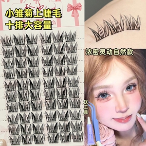 小雏菊假睫毛上睫毛卷翘自然浓密仿真分段漫画眼大容量少女感