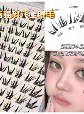漫画猫咪斜飞浓密上镜狐系假睫毛