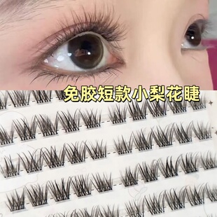 蜜小盒清透小梨花免胶短款假睫毛自然婴儿弯仿真单簇里斯本假睫毛