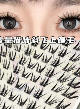 蜜小盒漫画猫咪斜飞假睫毛浓密上镜网感拉长眼型大容量狐系假睫毛