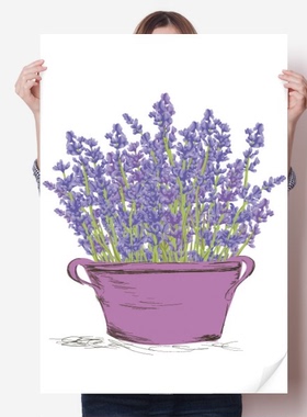紫色薰衣草盆栽花卉海报贴纸宣传壁纸墙贴纸卧室家居装饰背胶写真