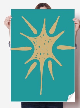 太阳抽象花卉北欧插画海报贴纸80x55cm墙贴纸卧室家居装饰